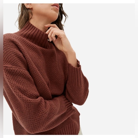 SOLD Everlane The Cashmere Oversized Stroopwafel Turtleneck Rust Brown Sweater - Picture 1 of 14